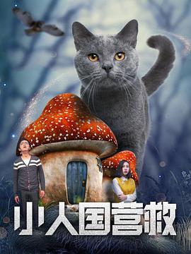 夜晚的聚会