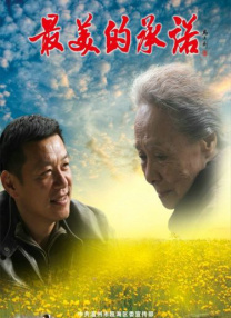 台湾佬综合